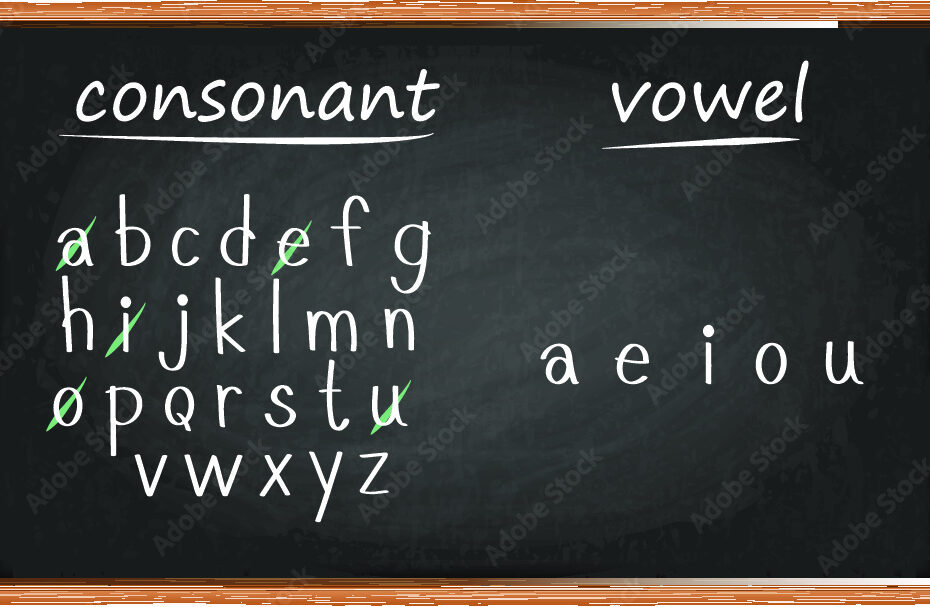 consonants and vowels