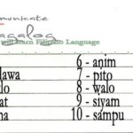 10 Best Tips: Learn Tagalog Numbers & Essentials